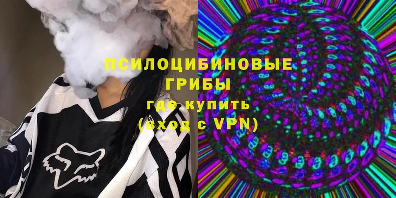 Галлюциногенные грибы Psilocybe  дарнет шоп  Барыш 